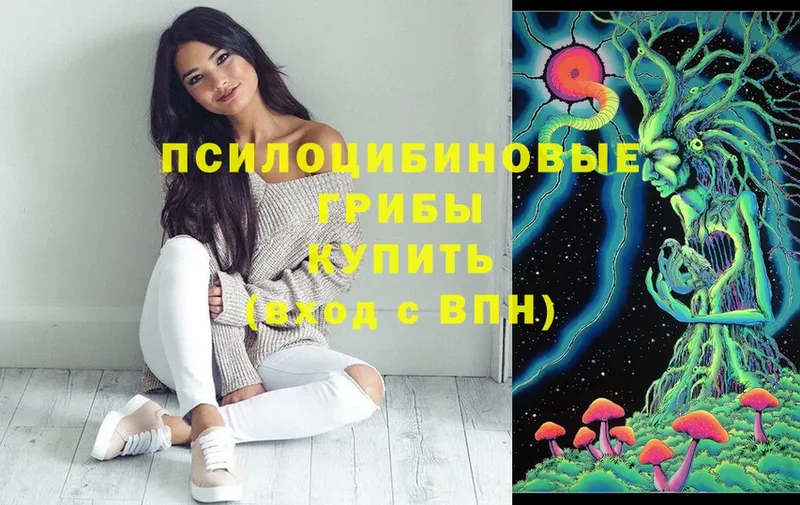 Псилоцибиновые грибы Magic Shrooms  Елабуга 